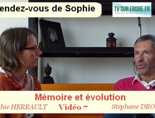 Mémoire et évolution (Vidéo 7)